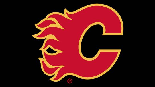 On the Milan Lucic trade (Flames)