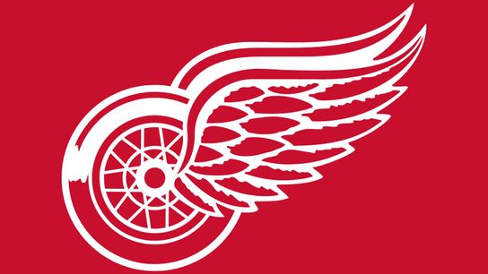 Kekalainen embarrassed his team, his coach, and his goalie twice (Red Wings)