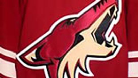 Arizona Coyotes sign UFA Alex Galchenyuk (Coyotes)